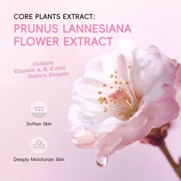 Neck Renaissance: 10s Silk Architect✨】 🌸 Sakura Bloom Tech ✨ C-Lift Matrix → Melts into cashmere dew → Erases crepe crinkles → Builds anti-gravity velvet rampart For screen-weary souls — elegance reborn with every twist - Image 8
