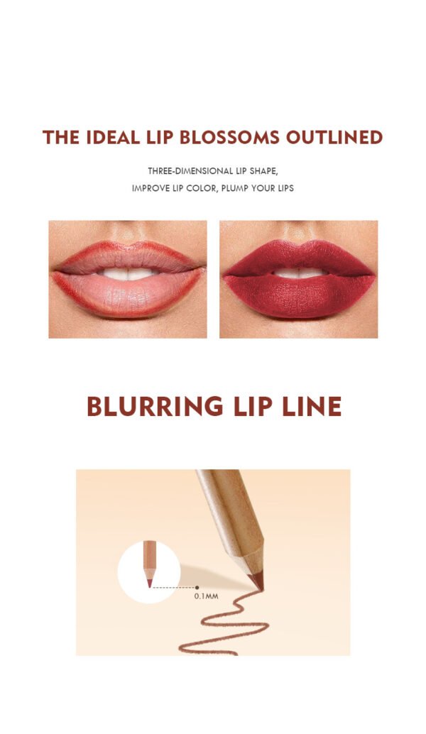 PUDAIER 12-Color Matte Lipstick & Liner Set - Image 10