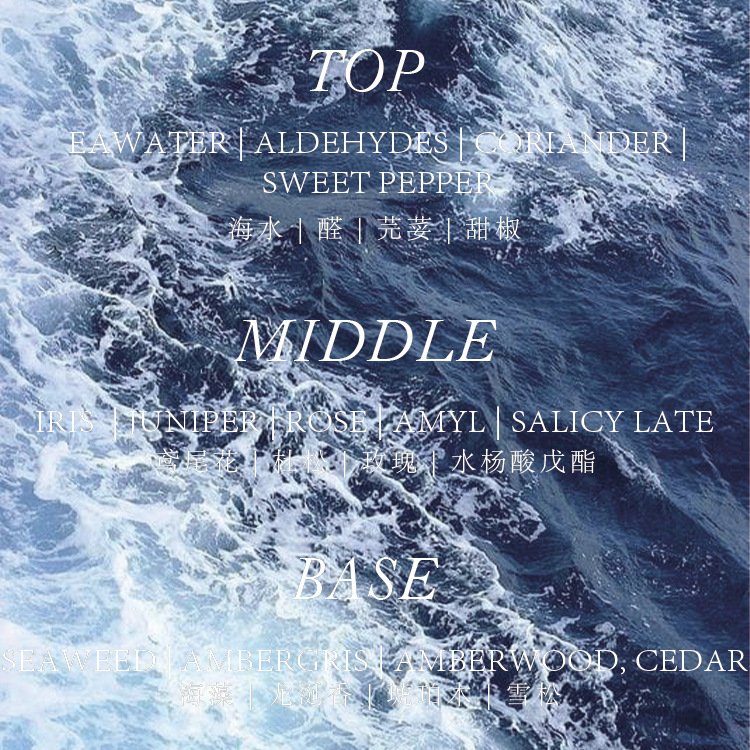 beaut lover eau de parfum – premium long lasting fragrance beaut lover eau de parfum – premium long lasting fragrance